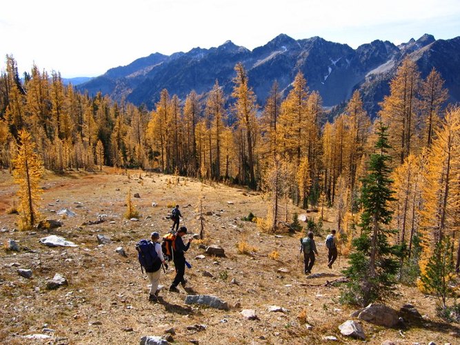 And then we headed into the larch woods.